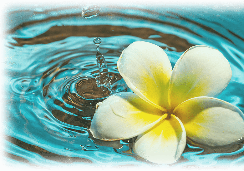 日々の疲れを忘れられるような癒しのリラックス空間を…